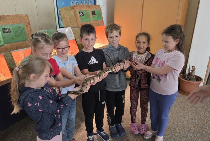 2026.05.19. - H�ll�ki�ll�t�s